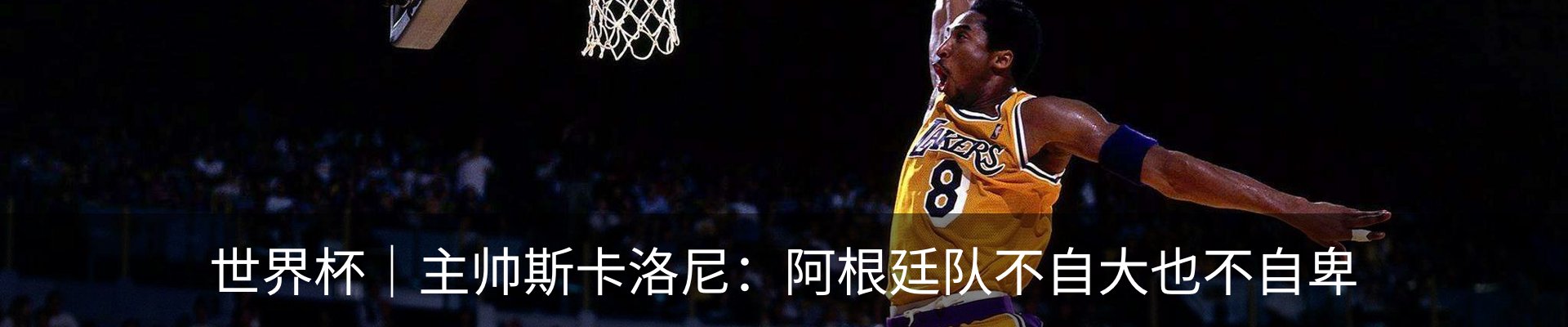 内页banner